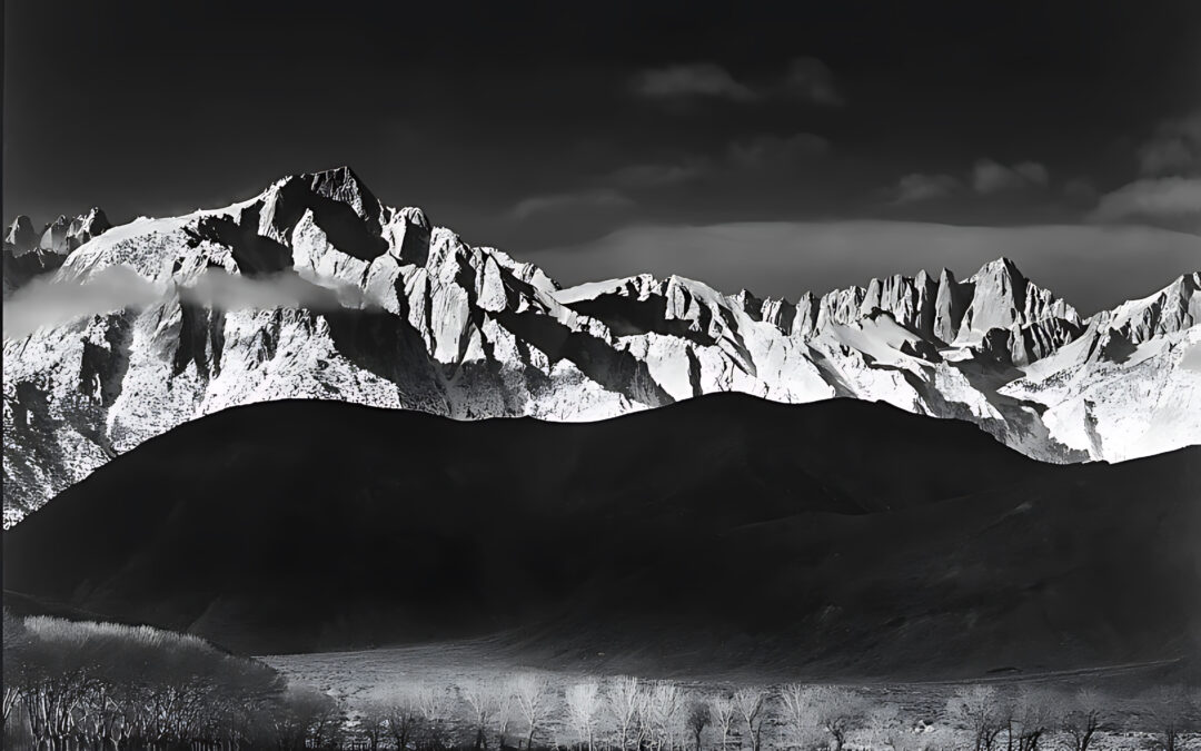 En presencia de la luz