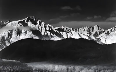 En presencia de la luz