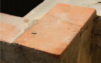 Wabi-Sabi. El zen de las cosas